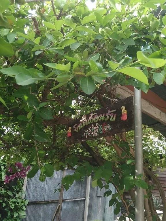 Patchaya Guesthouse Amphawa Zewnętrze zdjęcie