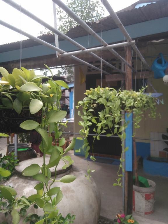 Patchaya Guesthouse Amphawa Zewnętrze zdjęcie