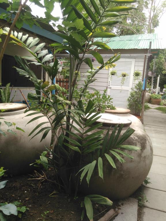 Patchaya Guesthouse Amphawa Zewnętrze zdjęcie